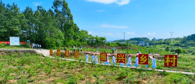 邵阳市特色蓝莓种植基地