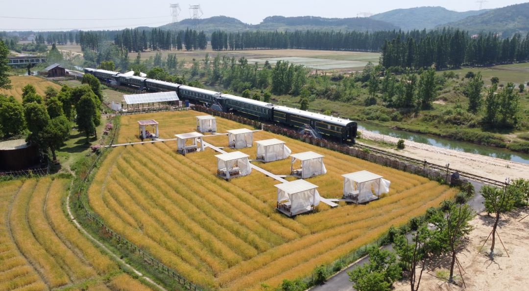 袁夫稻田民宿
