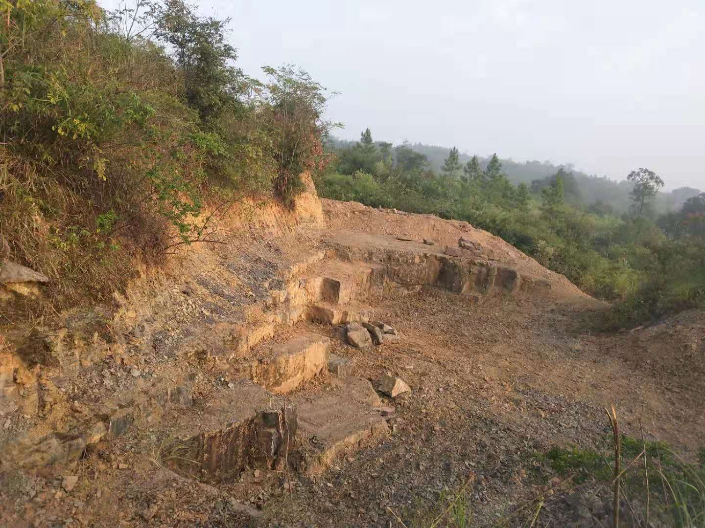 江东村