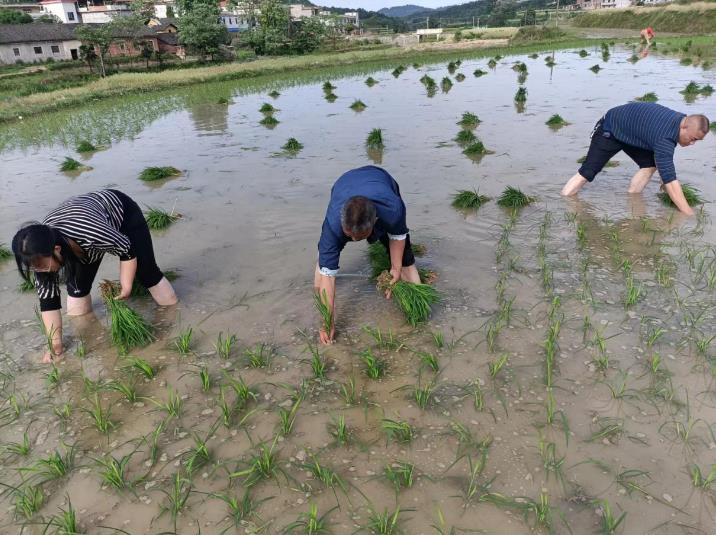 长余村